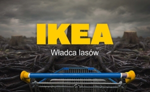  Władca lasów: IKEA - kulisy meblarskiego imperium