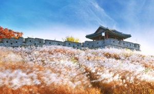 Poznaj Koreę Południową: Najciekawsze miejsca w Incheon i Gangwon